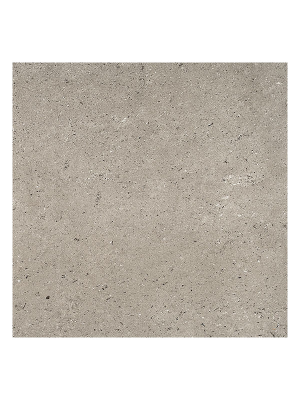 Gresie Portelanata Land Grey 60.4x120.8 cm