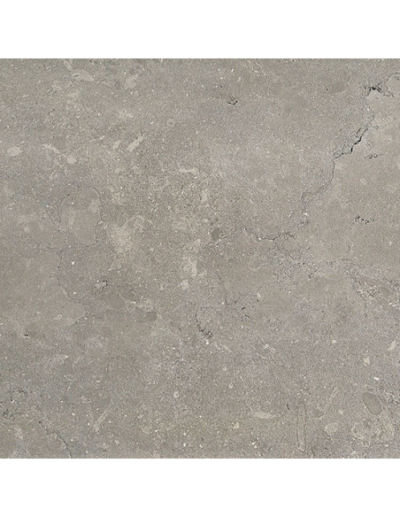 Gresie Portelanata Lago Light Grey 30x60 cm