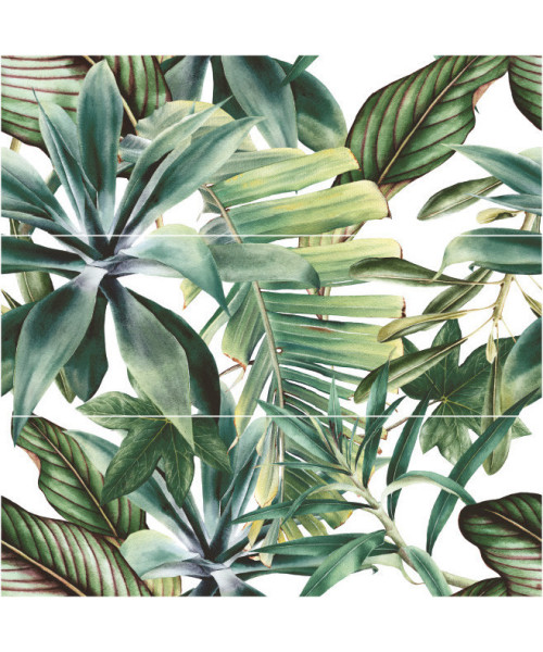 Gresie Faianta Bucatarie