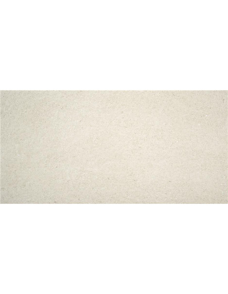 Gresie Techstone 60x120 cm