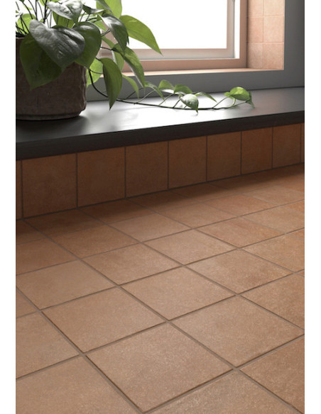 Gresie Faianta Terra