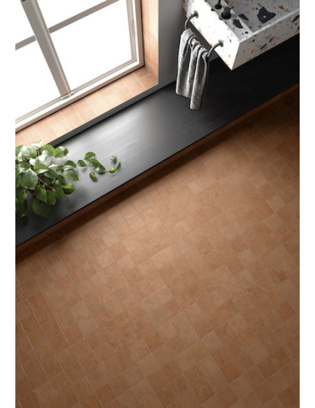 Gresie Faianta Terra