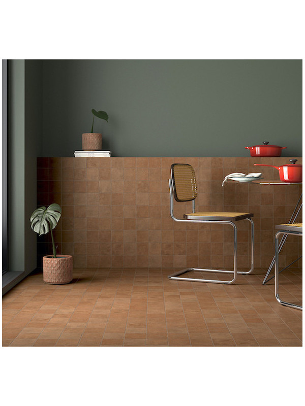 Gresie Faianta Terra