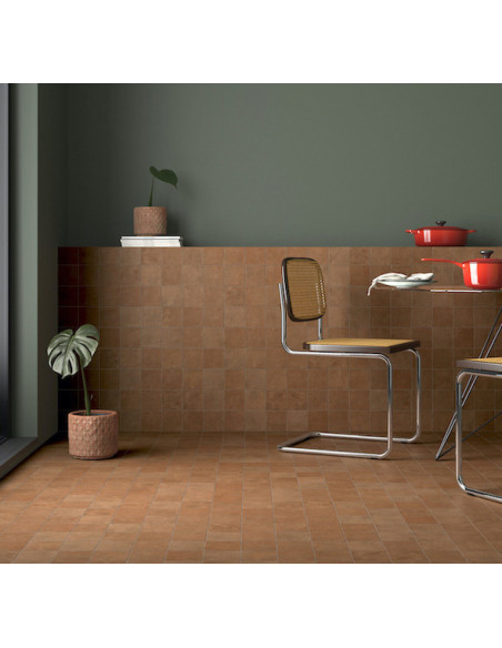 Gresie Faianta Terra