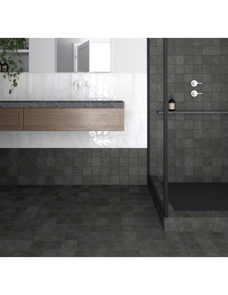 Gresie Faianta Terra