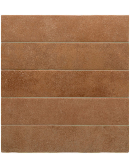 Gresie Faianta Terra