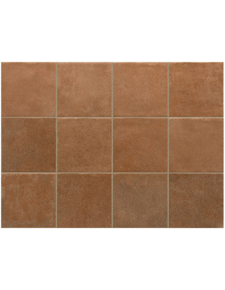 Gresie Faianta Terra