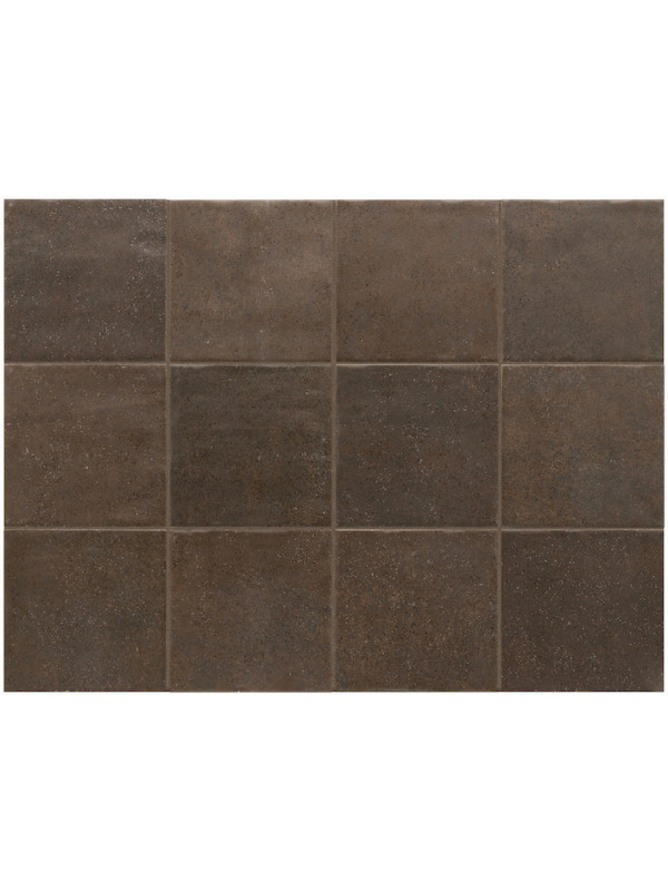 Gresie Faianta Terra