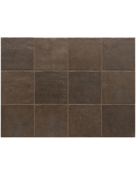 Gresie Faianta Terra