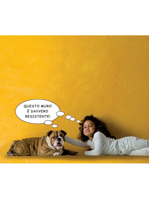 Vopsea Decorativa Giorgio Graesan Spatula Stuhhi