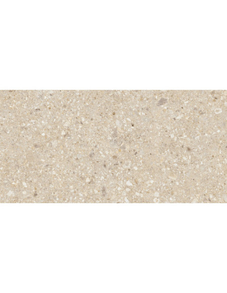 Gresie Ceppo 60x120 cm