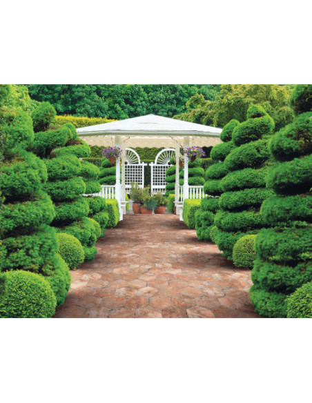 Gresie Faianta Chicago