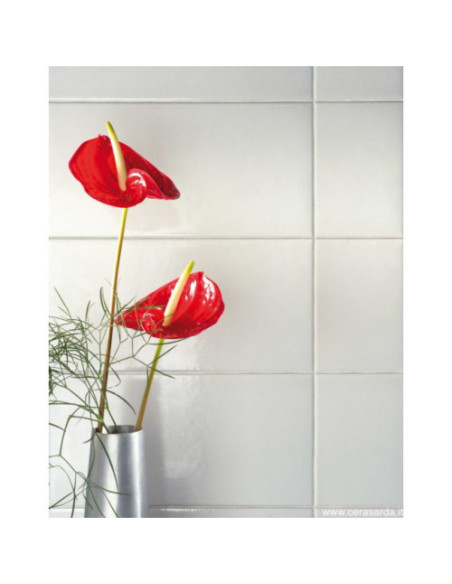 Faianta Gresie Sardinia