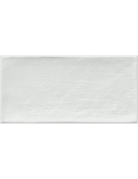 Faianta Etnia 10x20