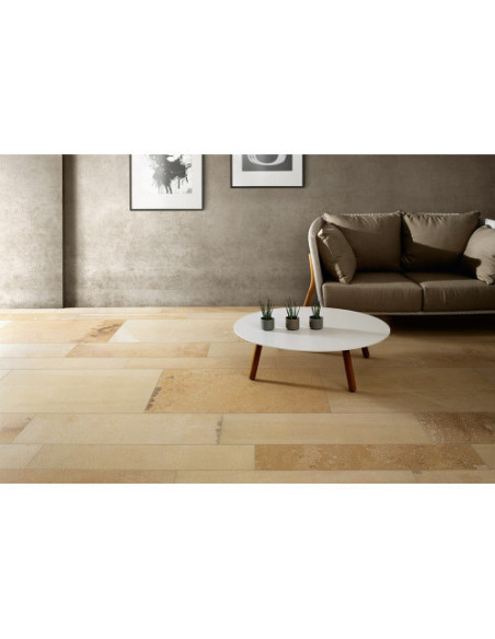 Gresie Coem Fossilia