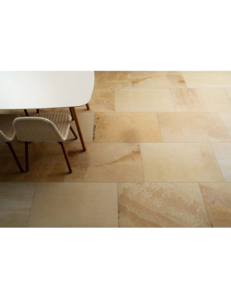 Gresie Coem Fossilia