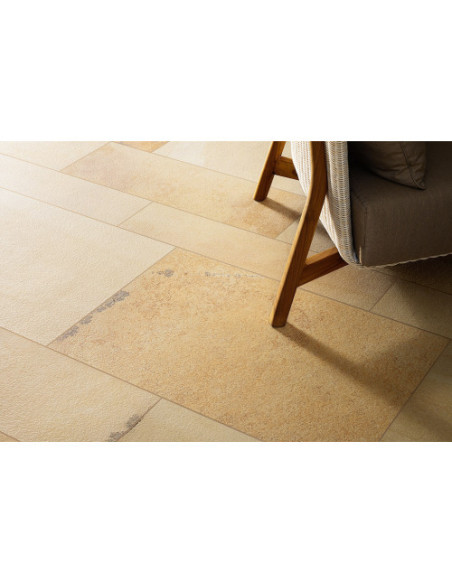 Gresie Coem Fossilia