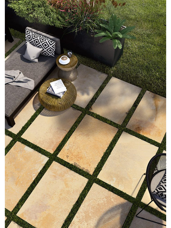 Gresie Coem Fossilia