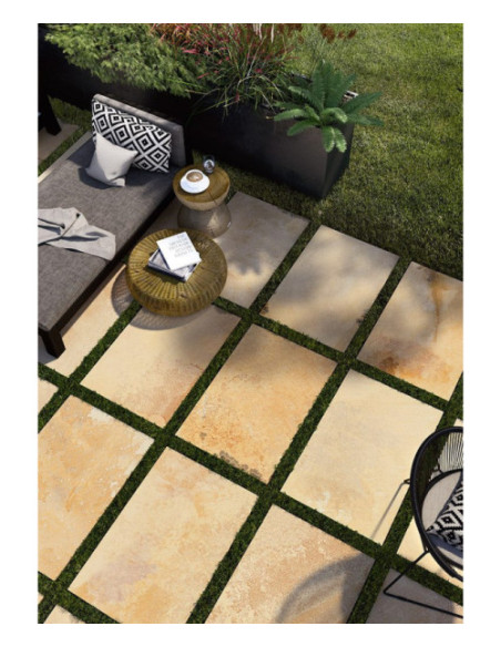 Gresie Coem Fossilia