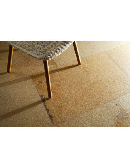 Gresie Coem Fossilia