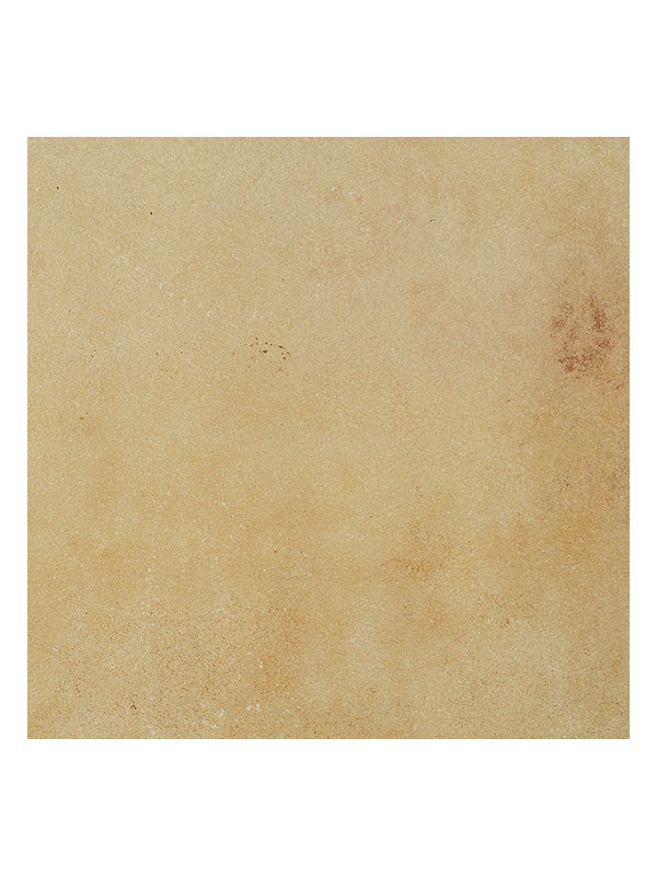 Gresie Coem Fossilia