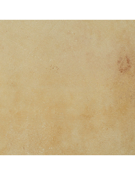 Gresie Coem Fossilia