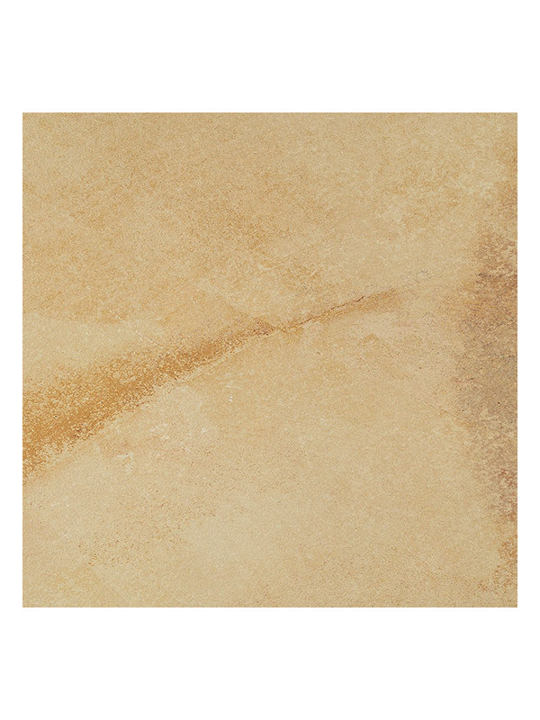 Gresie Coem Fossilia