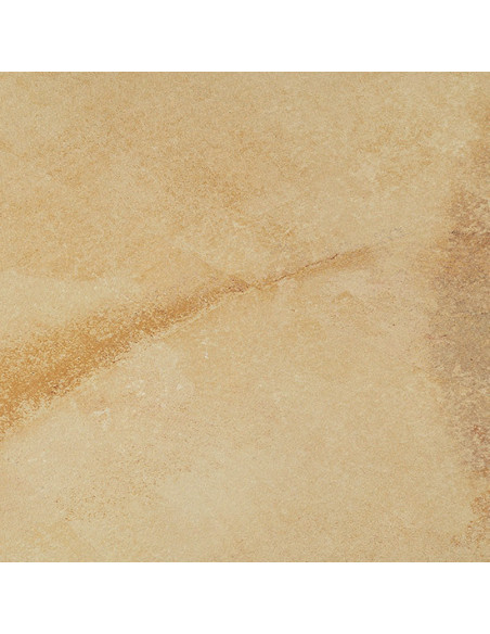 Gresie Coem Fossilia