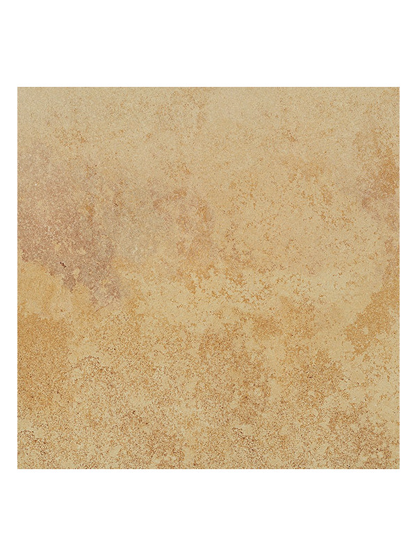 Gresie Coem Fossilia