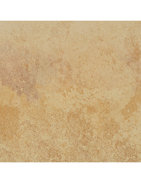 Gresie Coem Fossilia