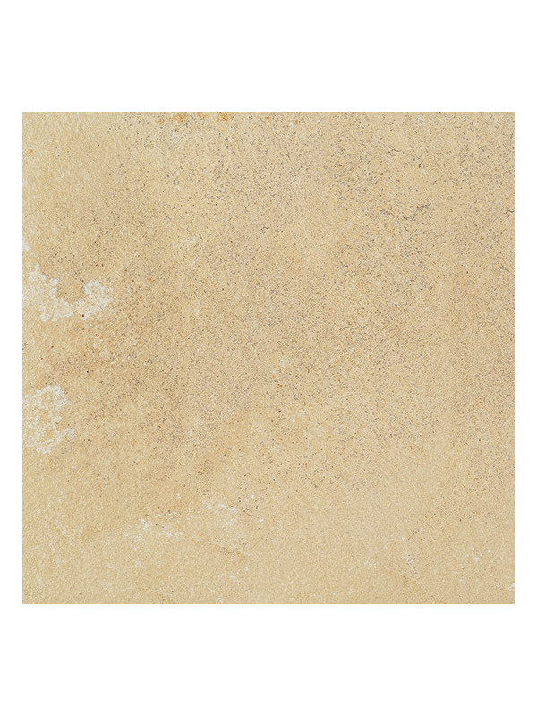 Gresie Coem Fossilia