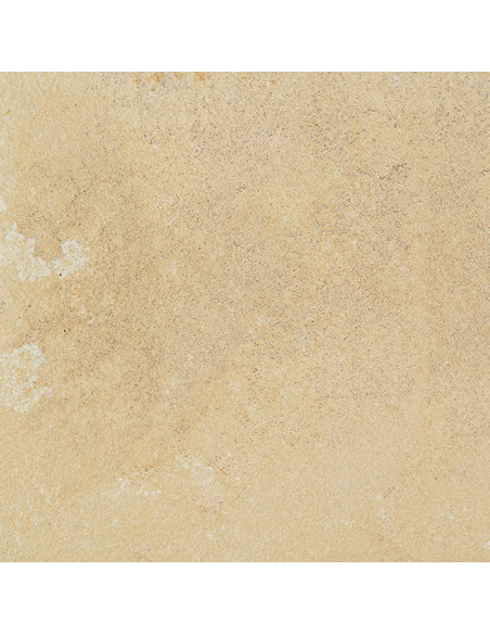 Gresie Coem Fossilia