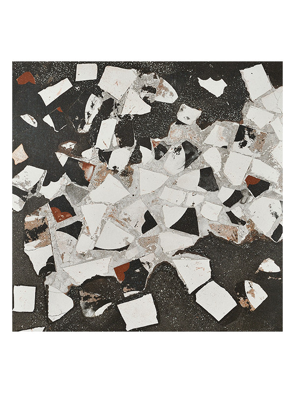 Gresie Faianta I COCCI