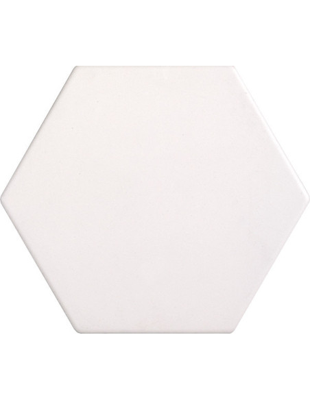 Gresie si Faianta Hexagonala Examatt