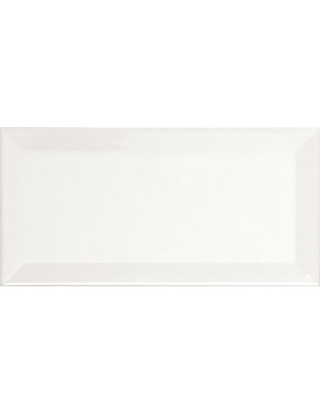 Faianta Metro 10x20