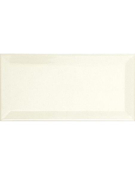 Faianta Metro 10x20