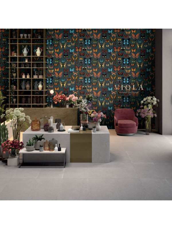 Papillon Wide & Style