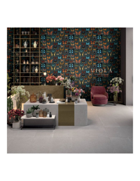 Papillon Wide & Style