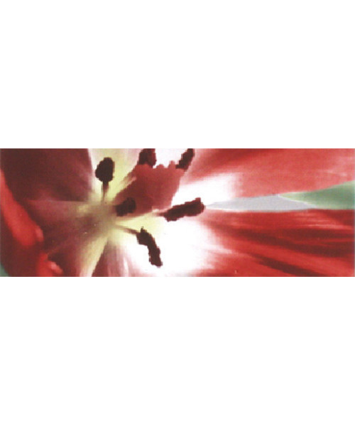 Gresie Faianta Bucatarie 2