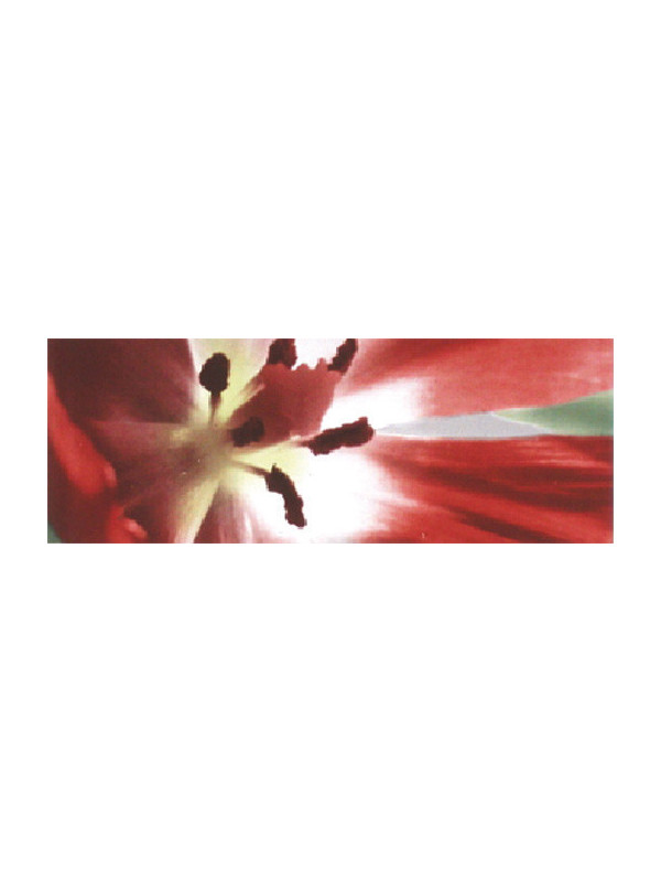 Faianta Gemma Swing Red
